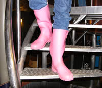 Teri Pink Boots